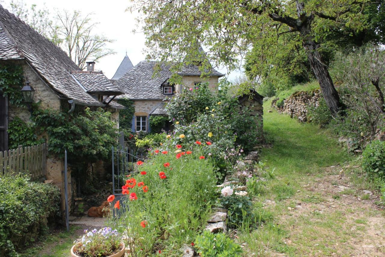 Les Terrasses De Labade Gite Et Chambres D'Hotes Coubisou Eksteriør bilde